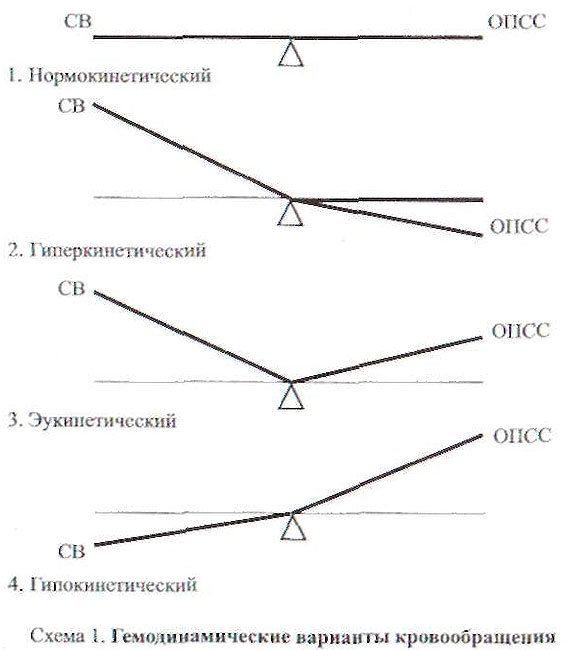 гемодинамические варианты кровообращения