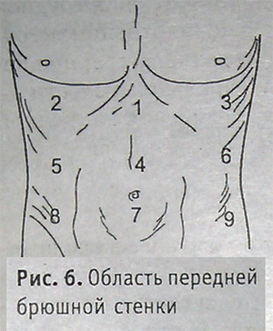 Область передней брюшной стенки, пальпация