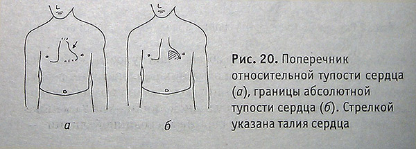 Поперечник относительной тупости сердца