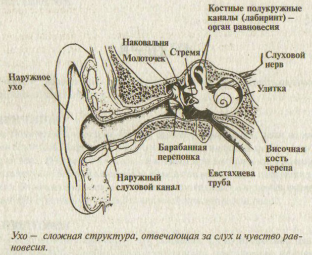 Немеют пальцы на руках лечение народные методы
